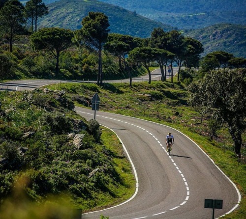 apisonadora60: The Col Collective  · The road is pure tranquility. A gentle climb that drops you dow
