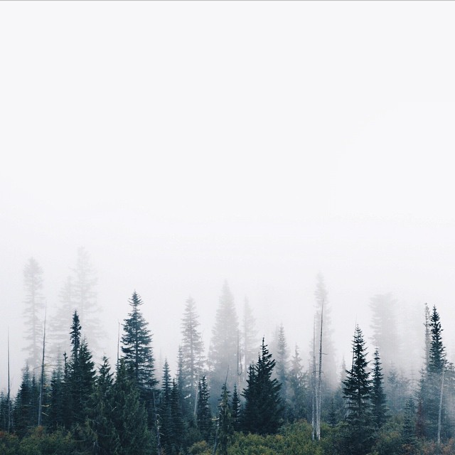 delta-breezes:  Daniel Nail