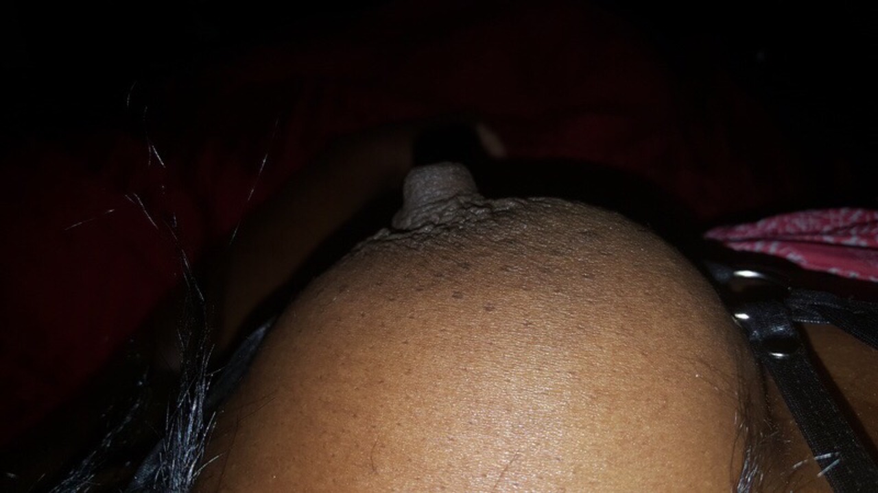 THE BREAST OF BOTH WORLDS