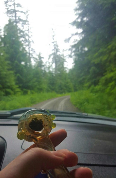 smokingakgreen: I like my bud the way I like backroads; lush green and ready to take me on an advent