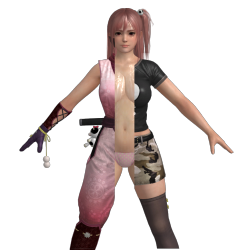 sspd077:DEAD OR ALIVE 5 LAST ROUND HONOKA WIP by faytrobertson