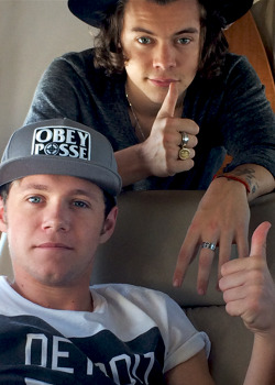 styzles-deactivated20151205:  onedirection:  Niall and Harry say hi #WWATour  