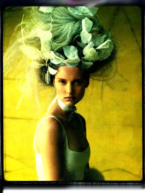 Hair style with foliage design. Polaroid Badgley Mischka Advertising Campaign Hair: Nicolas Jur