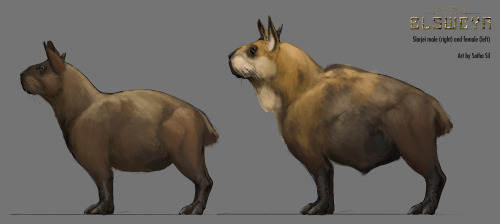 sothasil: Slarjei concept art for Beyond Skyrim : Elsweyr! The Slarjei are pack animals used by the 