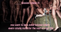 Sissy fantasies