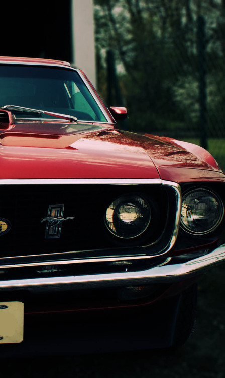 h-o-t-cars:    Ford Mustang | Source   