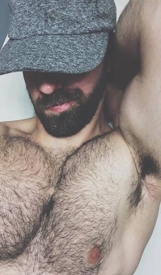 bearlywill.tumblr.com post 162624132629