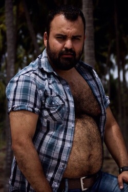 hairy-muc-bear:2021.01.28.Thursday&rsquo;s BILFS in Open Shirts Next Door Bulls