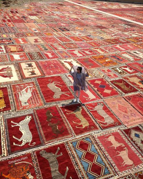 suzani: A girl in Carpetland, Iran.