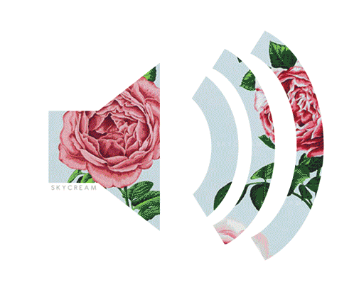 Indie, Hipster, Grunge, Boho, Vintage, Quotes, Words, Gif, Art