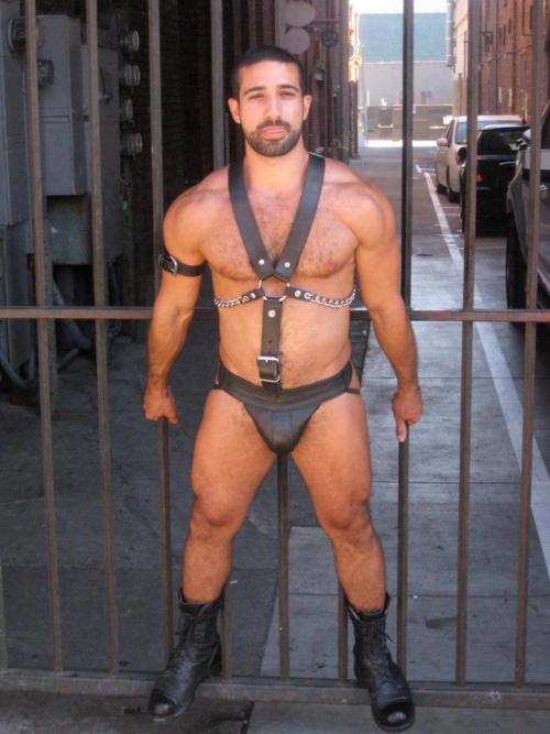 Leather Gear Gay Sex