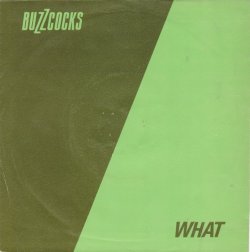 vinyloid:  Buzzcocks - What