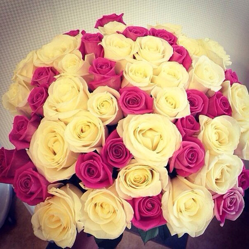 Flowers Bloom even in the darkest places.