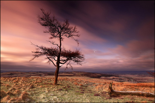 Moonset on Kinpurney Hill by angus clyne on Flickr.