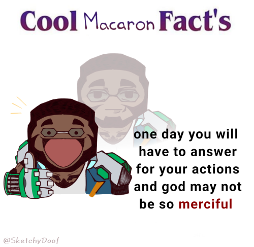 Cool Fact's Today From Macaron!