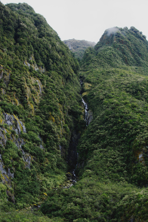 photographybywiebke: Rainforest on mountainsides formed by glaciers. Only in New Zealand.