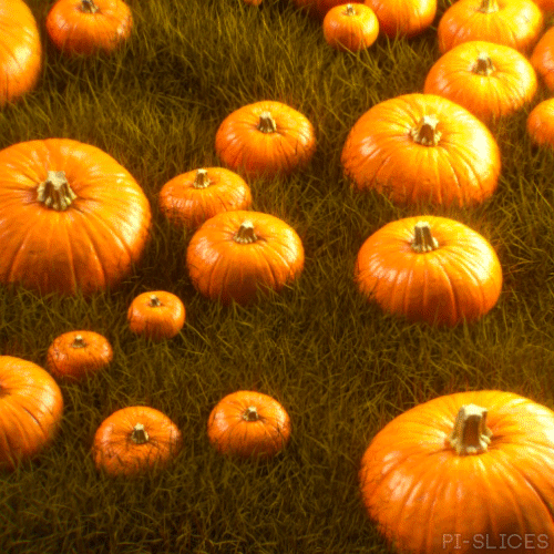 Pi-Slices — Pumpkin Patch - 201027