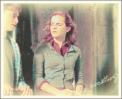 imsirius:  The facts are these – Hermione loves Harry.She’s never qualified the