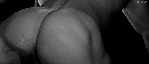 Sex, Love, and More Sex