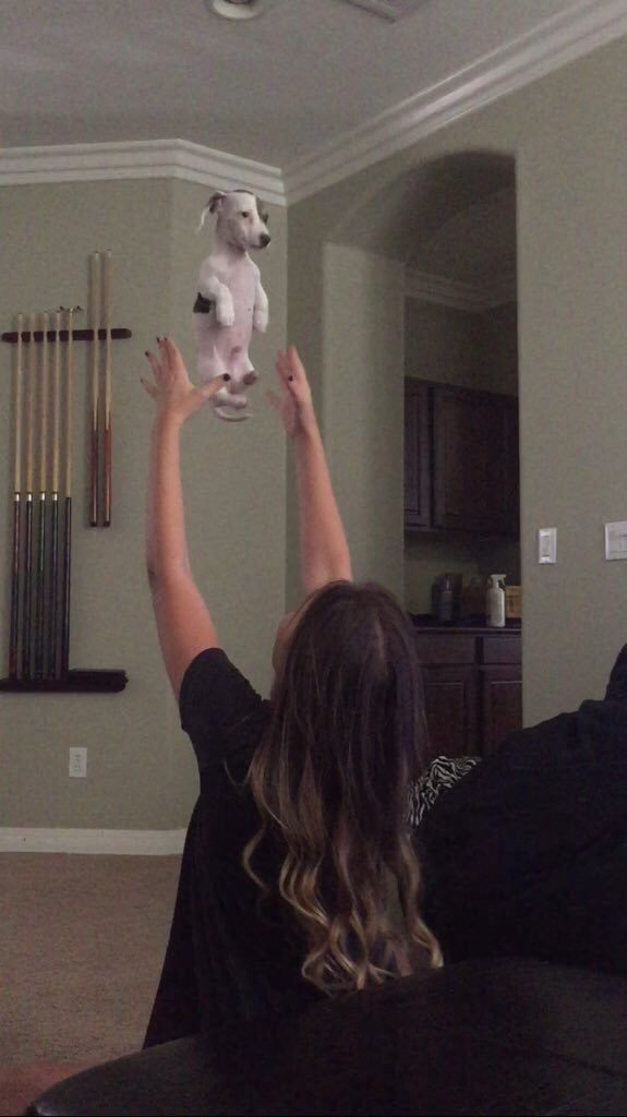 wilwheaton:  My goal for today is to achieve this level of serenity. 