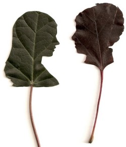 wacky-thoughts:   Leaf Art