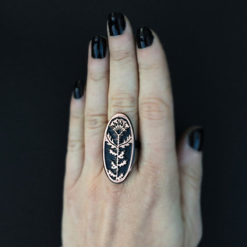 manticoreimaginary:Jewellery by Jamie Spinello