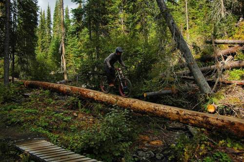 Logride in sun peaks, Canada By inflameswetrust . . #mountainbikes #mountainbike #MTB #mtbtrails #mt