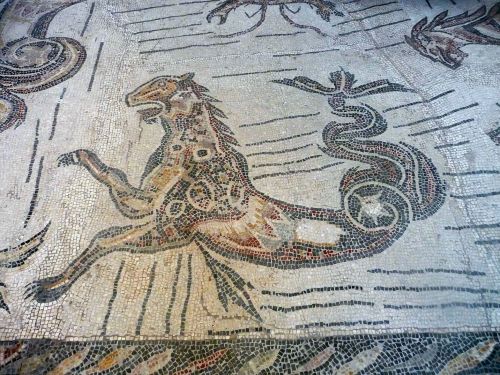 romegreeceart:Palazzo Massimo - pavement mosaic of Villa BaccanoAs mentioned earlier the villa was l