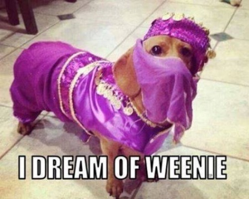 waternymph55:  coachmw:  For the ladies…Happy Halloween-ie…  +++ 