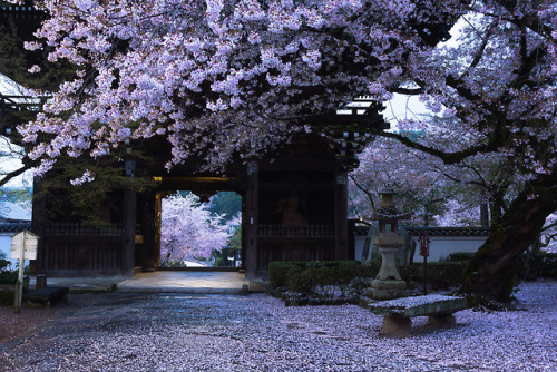 wanderlustjapan:by Yoshi Shimamura
