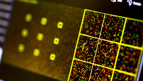realcleverscience: go3dprinting:  additivism:  Malicious code written into DNA infects the computer that reads it In a mind-boggling world first, a team of biologists and security researchers have successfully infected a computer with a malicious program