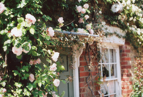 millieclinton: Untitled by Millie Clinton