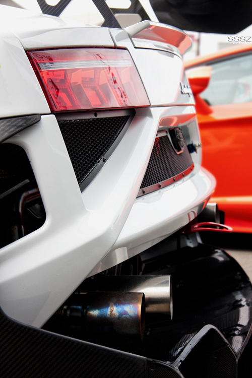 Sex sssz-photo:  Lamborghini Gallardo Blancpain pictures