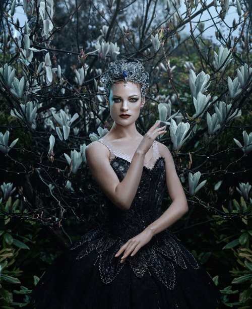 Swan Lake by Bella Kotak