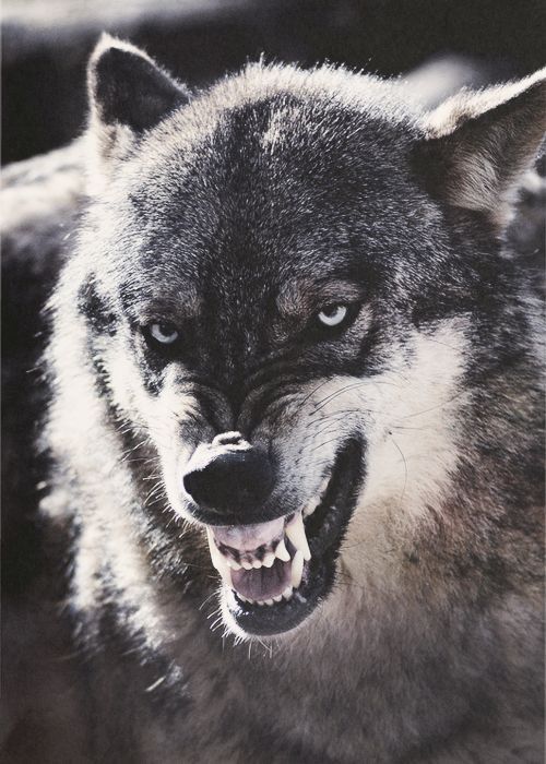 ☽
