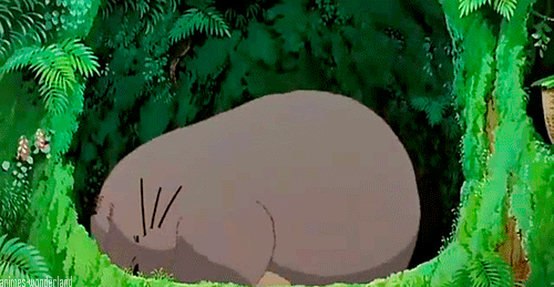 My Neighbor Totoro (となりのトトロ, Tonari no Totoro), Hayao Miyazaki (1988): PS: Pictures not mine, credit