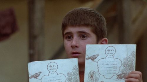 mad-prophet-of-the-airwaves: Where Is the Friend’s Home (1987, Abbas Kiarostami, Iran)