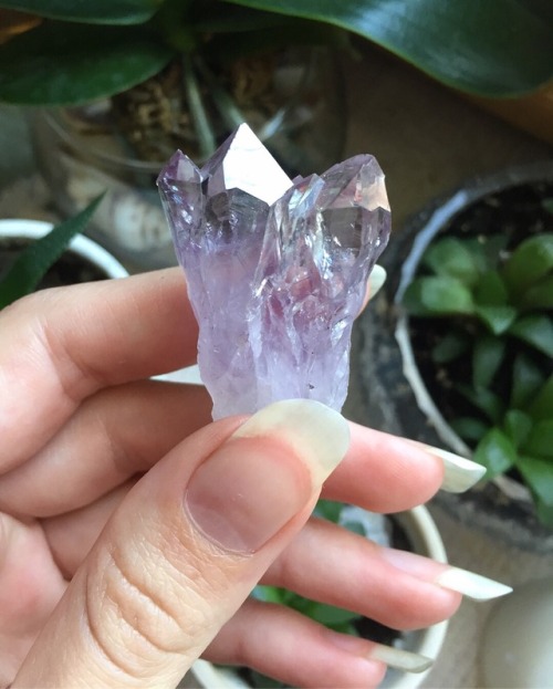 floralwaterwitch - This is one of my absolute favourite amethyst...