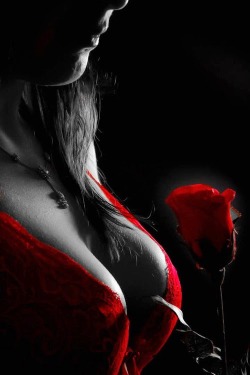 masterbaad:  submissiveinclination:  ~my color~  Kissable petals………Red