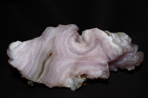 Pink Chalcedony from near Copper Canyon, Mexico, under white light and short wave ultraviolet.