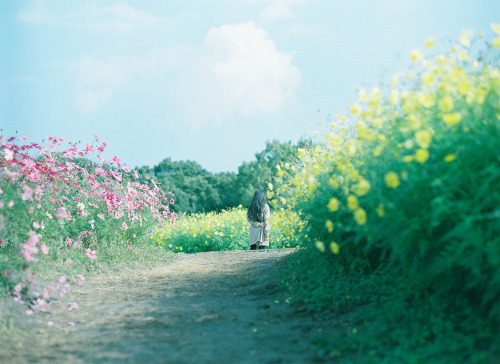 明けましておめでとうございます。また変わらない日々の写真が並びますがよろしくお願い致します。思うように写真を撮りに行くことが出来ません。何処かで更新が止まります（笑）