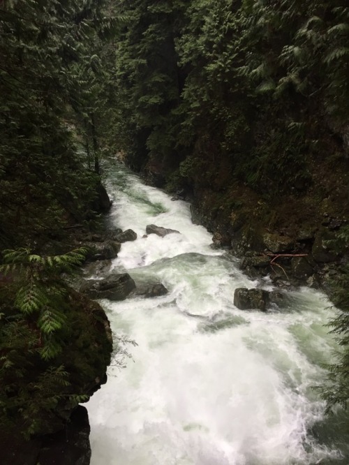 floralwaterwitch:Hiking around Twin Falls, British Columbia