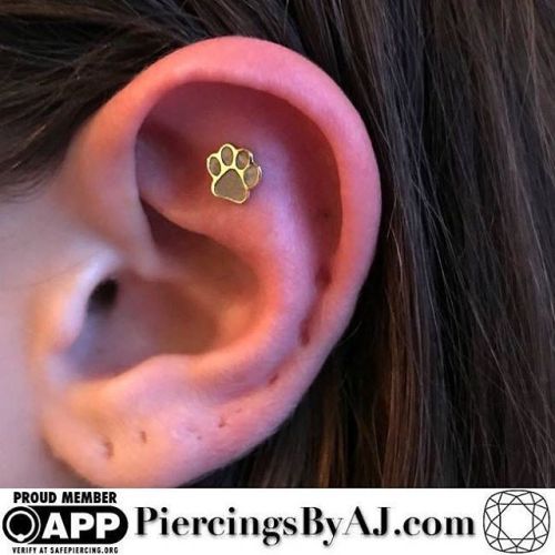 For everyone sharing that paw print ear project, here is another(and easier to heal) option for you!