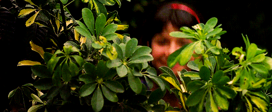 selenaqgifs:Selena was released 20 years ago on March 21, 1997