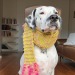 redrola: