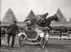 lostsplendor:     The Leap: 1916 (via)  