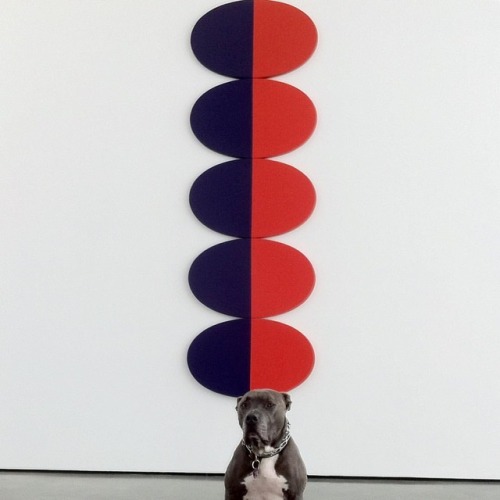 Among Valentine’s Fall favorites is the Leon Polk Smith show @lisson_gallery  #dogsofinstagram