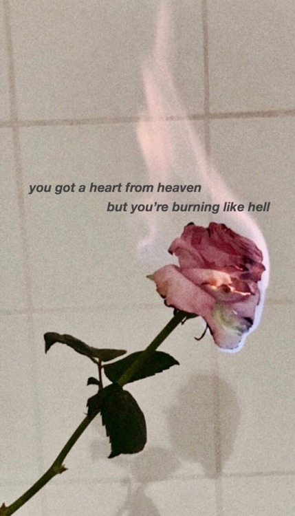 sellursoul: the neighbourhood - heaven  reblog/like if saved please!