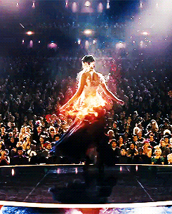 mrjoshutcherson:  Katniss Everdeen, the girl who was on fire, you have provided a