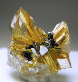 mineralists:  Two colorless Quartz crystals with golden Rutile needles on and inside them. there are also plates of Hematite in the center. The Rutile radiates from the Hematite center. Novo Horizonte, Brazil